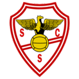 Salgueiros