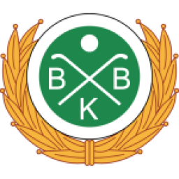 بودين