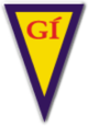 GI Gota