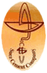 Suez Cement