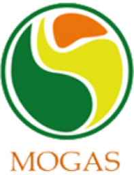 Mogas 90