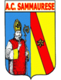 ساماوريزي