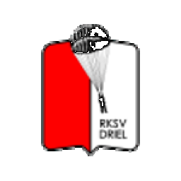 Driel