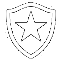 Botafogo U20