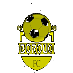 البُروق