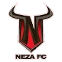 Toros Neza UTN