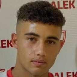 Maged Ali Abdel Rahman Hany
