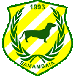 Samambaia