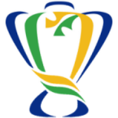 كأس البرازيل